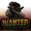 Wanted Dead or a Wild