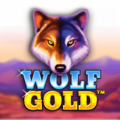 Wolf Gold
